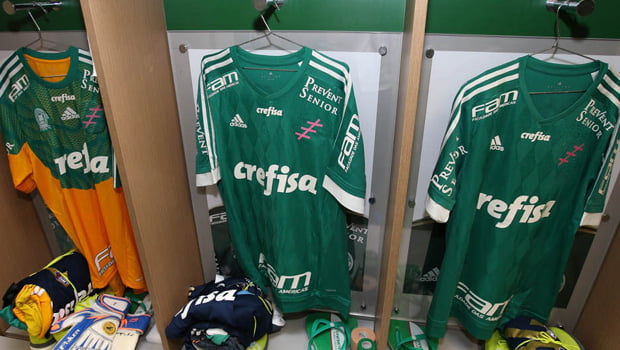 palmeiras-cicatriz-cancer-mama-outubro-rosa-com-limao-02